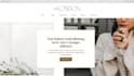 build influencer website onlyfans website model, influencer marketing website
