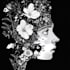 draw simple black and white illustration