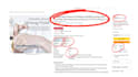 do fast and accurate web scraping or data scraping from any website
