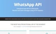 manually test your app and website