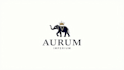 design outstanding 3d professional elephant logo within 1 day