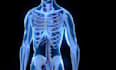 do 3d medical animation for a product or procedure