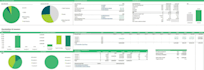 create a professional financial model for your business