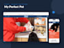 build custom shopify sections and page templates in liquid