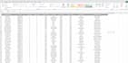clean up, format, and organize messy excel data professionally