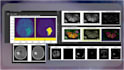 do image segmentation, annotation and image classification in ml