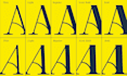 custom font family for your brand with commercial rights