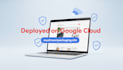 design and deploy  business net core website peptide website on google cloud