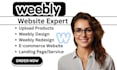 design redesign weebly business website landing page weebly website development