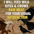 feed wild kites and crows raw meat for your visual satisfaction
