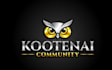 design a modern beautiful owl logo