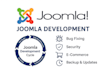 maintain, update, and develop your website professionally