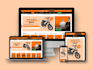 do professional and modern website development