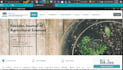 build a unique, fully responsive website from scratch with custom code