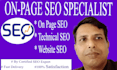 optimize your on page SEO and audit website content
