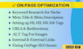 do onpage SEO and technical optimization for wordpress wix shopify squarespace