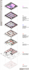 create architectural concept diagrams, perspective section, and design analysis