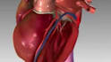 3d medical explainer video, 3d medical animation video, 3d product animation