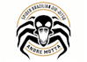 design unique spider logo