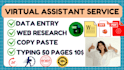do accurate typing job, data entry work, copy paste, excel, word, pdf conversion
