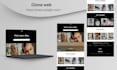build shopify website, design or redesign shopify store, dropshipping store
