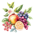 make paint watercolour botanical illustrations