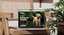 make responsive canva website design and canva landing page