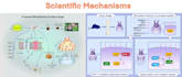 design scientific illustration, article figure, graphical abstract, 3d molecules