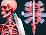 do medical and scientific illustrations