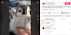 coach you on how to run high converting facebook ads