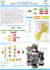 design academic research posters, infographics, and scientific visuals