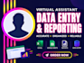 be your virtual assistant for data entry and reporting