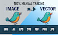 manually vector trace any logo, image or artwork in 24 hours