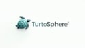 design an awesome simple turtle shell minimalist logo  with express delivery