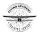 create a wonderful aviation logo for your company