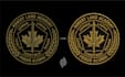 digitizing for embroidery designs, convert png to pes, dst, emb