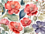 paint watercolour botanical illustrations