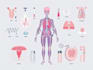 draw professional medical illustrations
