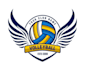 design a unique volleyball logo with original concept