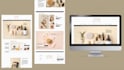 design a modern divi website with custom CSS
