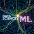 do expert data analysis using python, machine learning