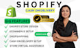 design responsive shopify cash on delivery dropshipping seo store webiste design