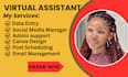 executive virtual assistant insta reels editor personal assistant data entry
