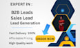 do b2b business lead generation python web scraping data mining email extraction