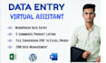 provide top notch administrative virtual assistant and data entry services