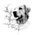 create a cybersigilism pet tattoo design