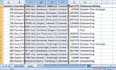 do aaccurate excel data entry, data cleaning, data formatting,