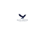 create a professional eagle bird logo in vector format