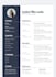 professionally write resume and cv for any industry