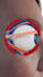 create medical 3d animations